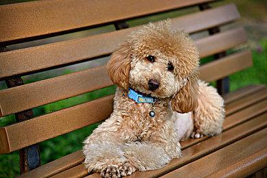 小岛秀夫用“神秘推文”回应了《死亡搁浅2》报道